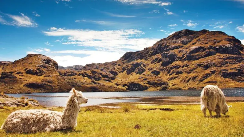 destinations-ecuador3-terramayorista