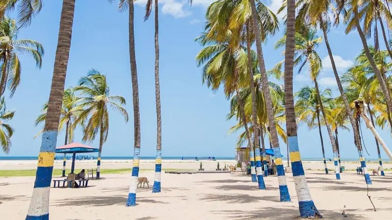 destinations-guajira5-terramayorista