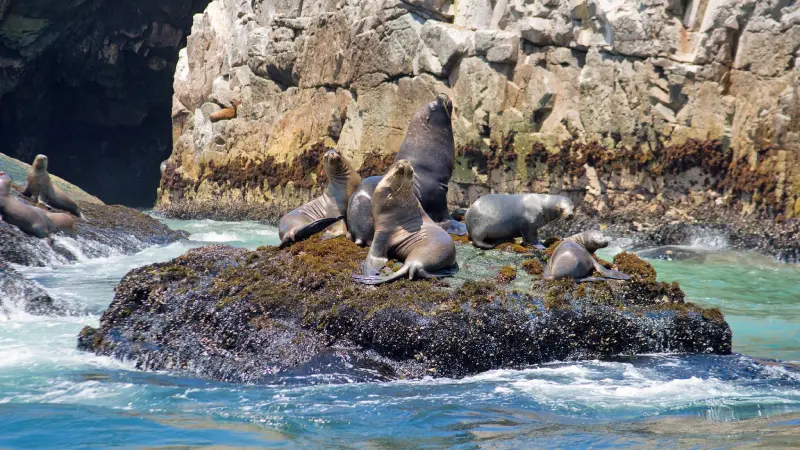 destinations-peru15-terramayorista