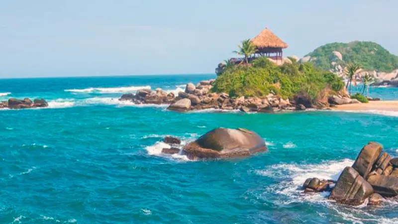 productos-santamarta-terrestre-alta-featured-image-terramayorista