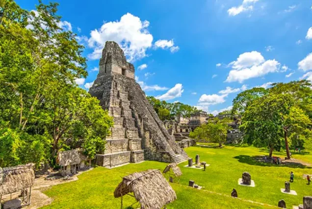 productos-guatemala-exotica-featured-image-terramayorista