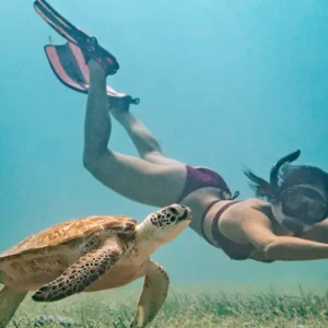 productos-aruba-tours-featured-image-terramayorista