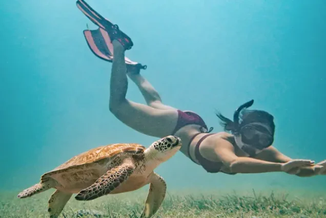 productos-aruba-tours-featured-image-terramayorista