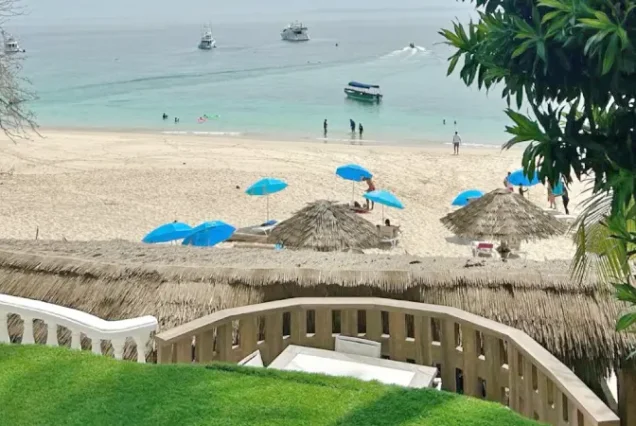 productos-panama-isla-contadora-featured-image-terramayorista