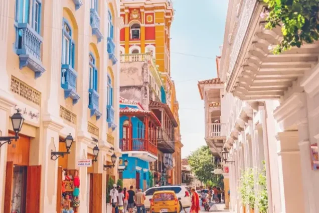 productos-cartagena-pt-alta-featured-image-terramayorista