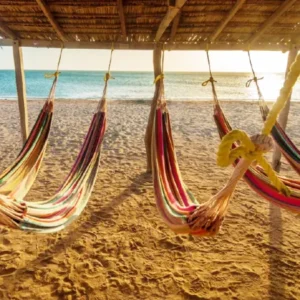 productos-descubre-guajira-featured-image-terramayorista