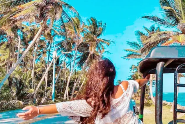 productos-sanandres-tarifas-temp-baja-featured-image-terramayorista