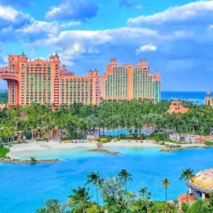 productos-bahamas-paraiso-featured-image-terramayorista
