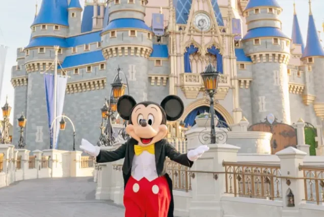 productos-miami-orlando-eeuu-featured-image-terramayorista