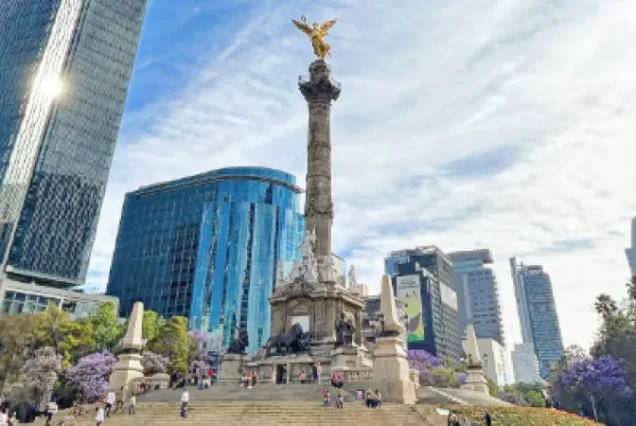 productos-pt-mexico-cancun-featured-image-terramayorista