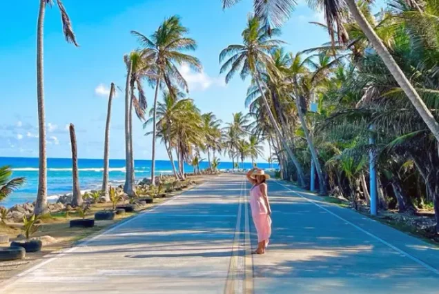 productos-sanandres-terrestre-alta-featured-image-terramayorista