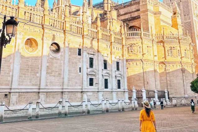 productos-madrid-21-dias-featured-image-terramayorista