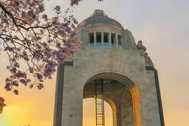 productos-mexico-basico-2026-featured-image-terramayorista