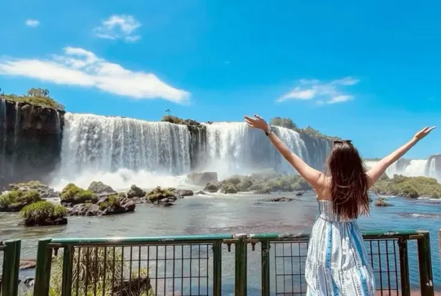 productos-gran-triangulo-argentina-featured-image-terramayorista