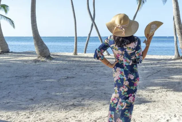 productos-puntacana-2026-vik-featured-image-terramayorista