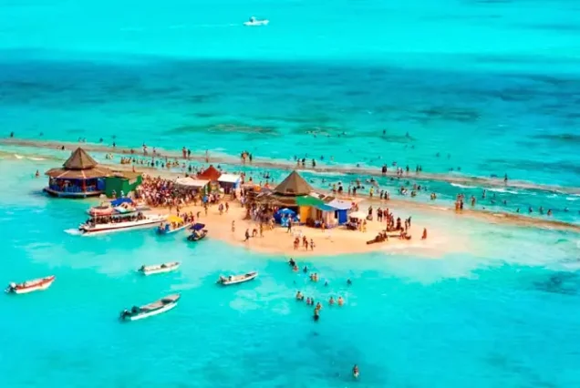 productos-sanandres-verano-featured-image-terramayorista