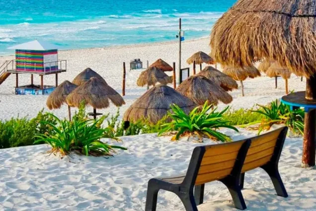 productos-beneficios-palace-gallery3-terramayorista