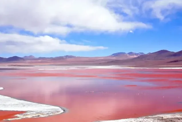productos-bolivia-clasica-gallery2-terramayorista
