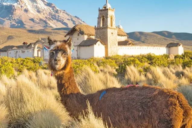 productos-bolivia-clasica-gallery3-terramayorista