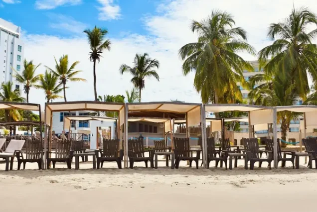 productos-covenas-porcion-terrestre-gallery1-terramayorista