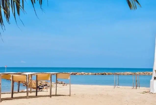 productos-covenas-porcion-terrestre-gallery3-terramayorista