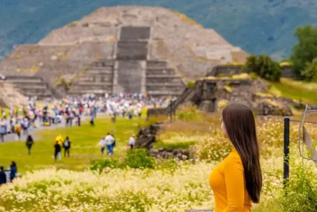 productos-mexico-basico-porque-si-featured-image-terramayorista