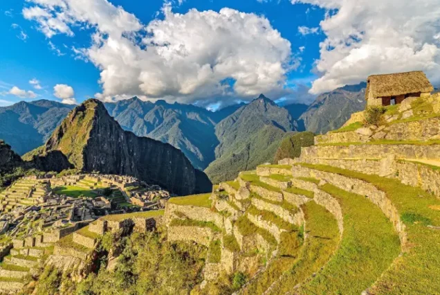 productos-peru-lima-gastronomico-2026-gallery1-terramayorista