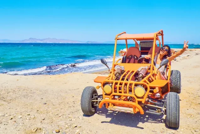 productos-puntacana-2026-gallery1-terramayorista