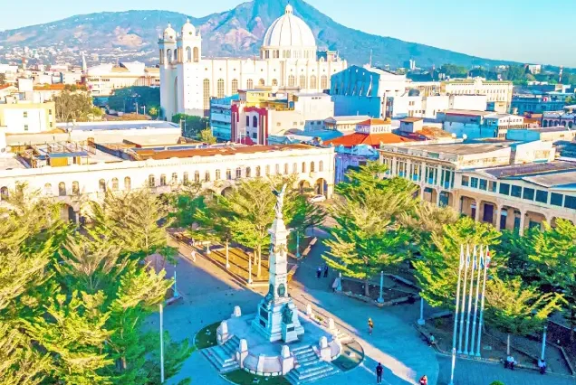 productos-salvador-breve-gallery2-terramayorista