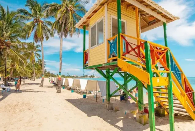 productos-sanandres-verano-gallery3-terramayorista