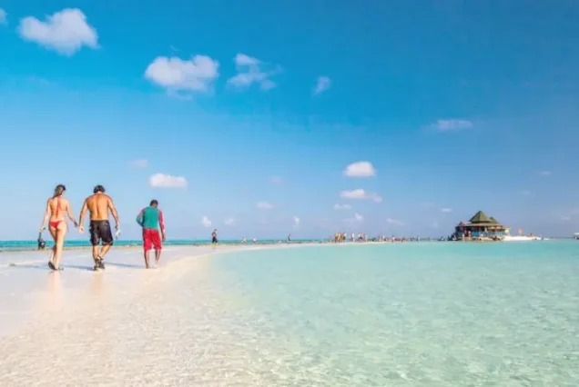 productos-sanandres-verano-gallery4-terramayorista