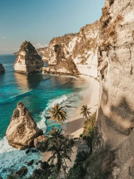 paginas-home-destination-02-terramayorista